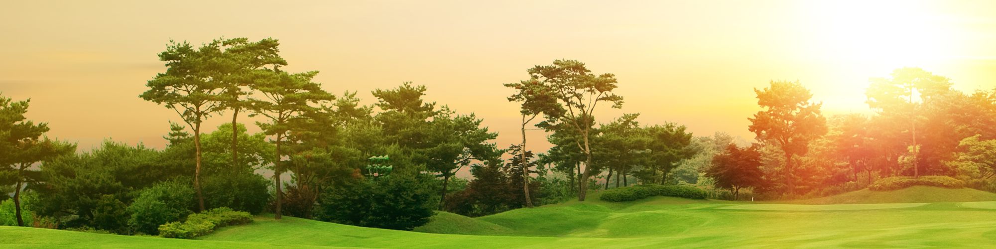 user-banner-image