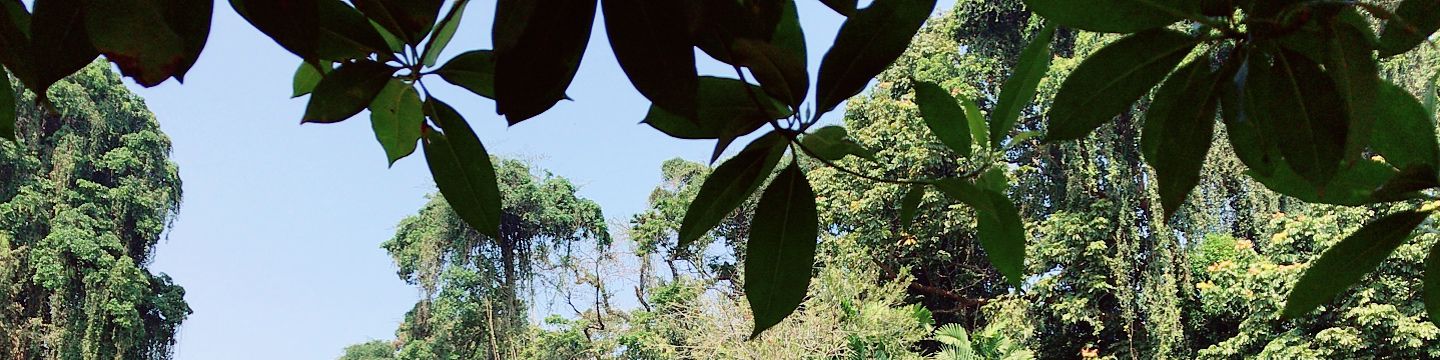 user-banner-image
