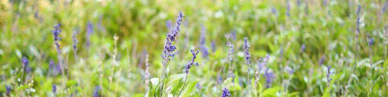 user-banner-image