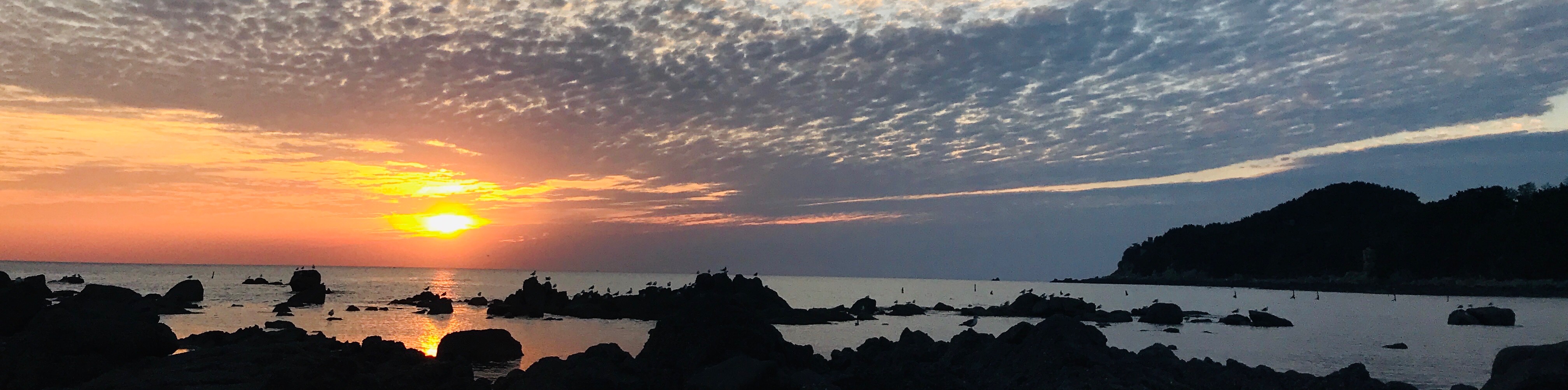 user-banner-image