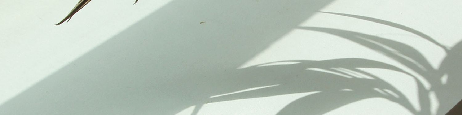user-banner-image