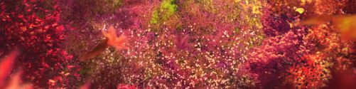 user-banner-image
