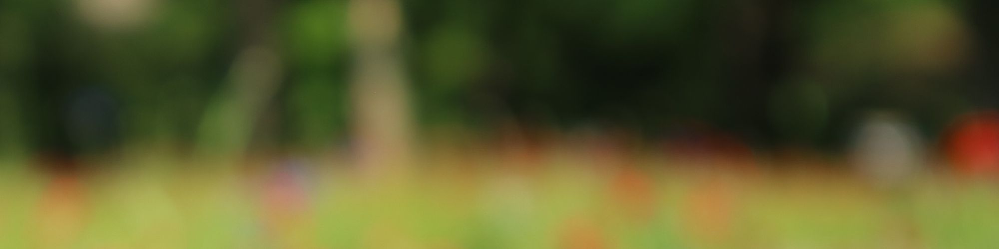 user-banner-image