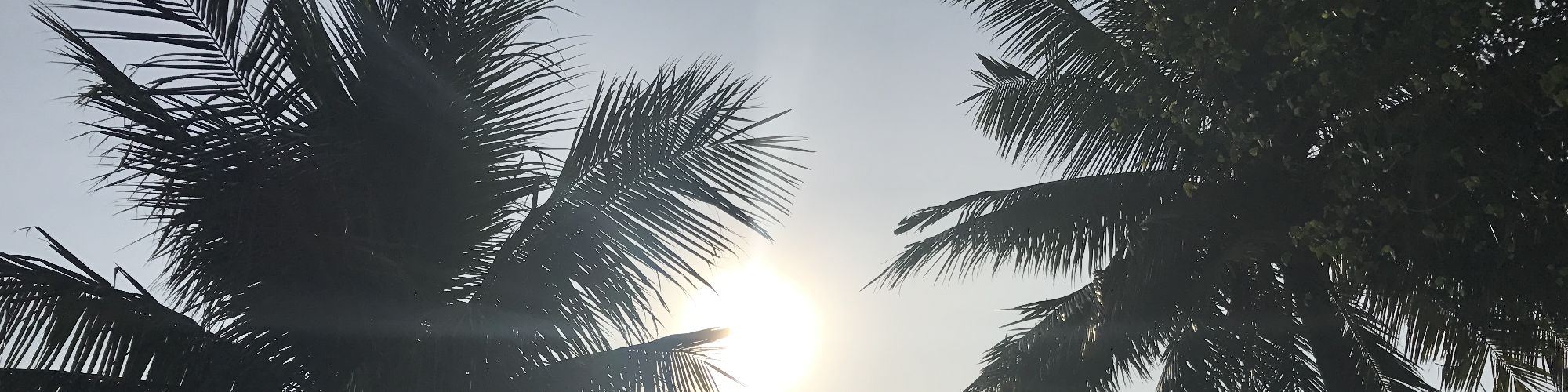 user-banner-image