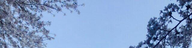 user-banner-image