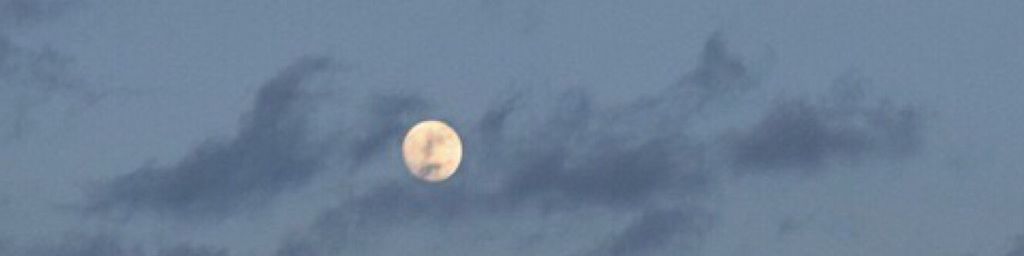 user-banner-image