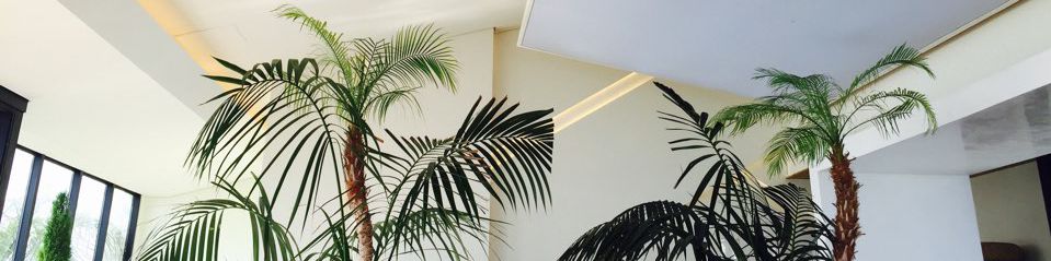 user-banner-image