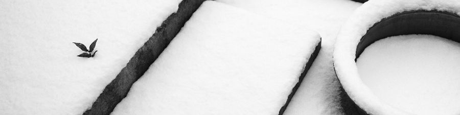 user-banner-image