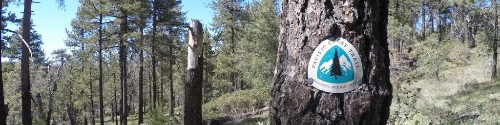 user-banner-image