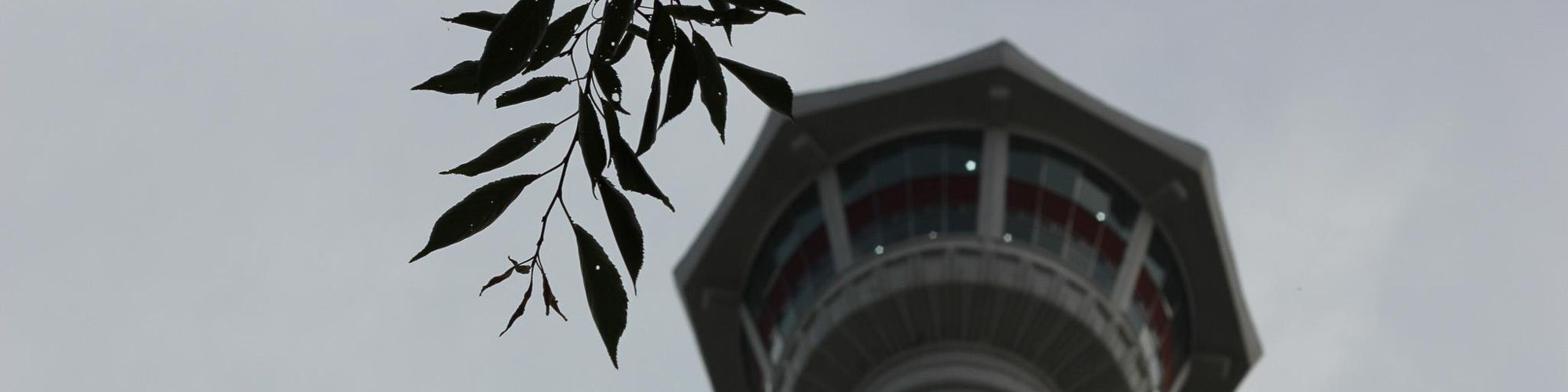 user-banner-image