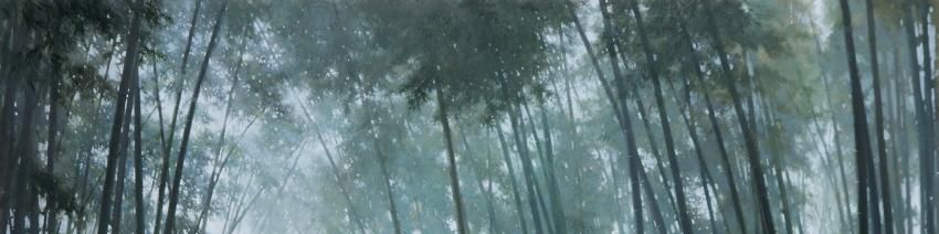 user-banner-image