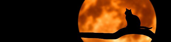 user-banner-image