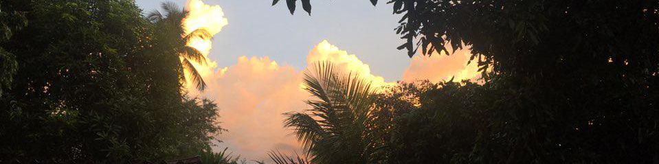 user-banner-image