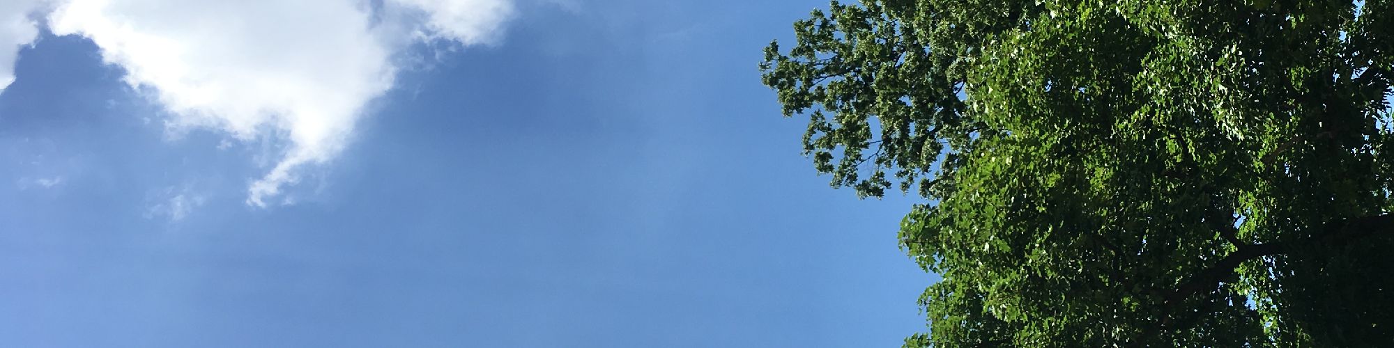 user-banner-image