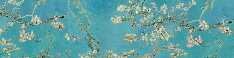 user-banner-image