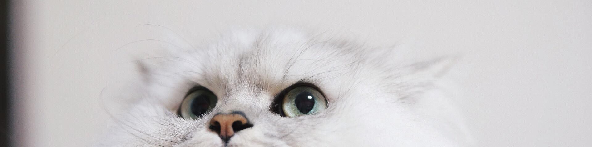 user-banner-image