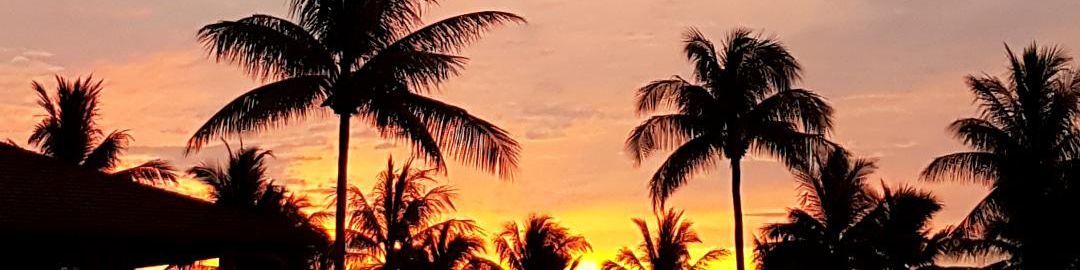 user-banner-image