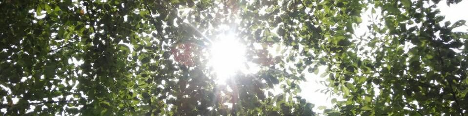 user-banner-image