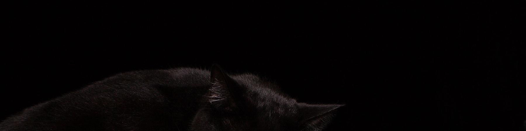 user-banner-image