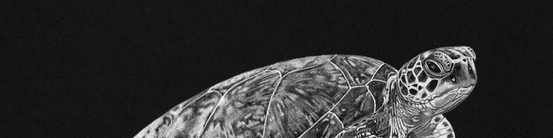 user-banner-image