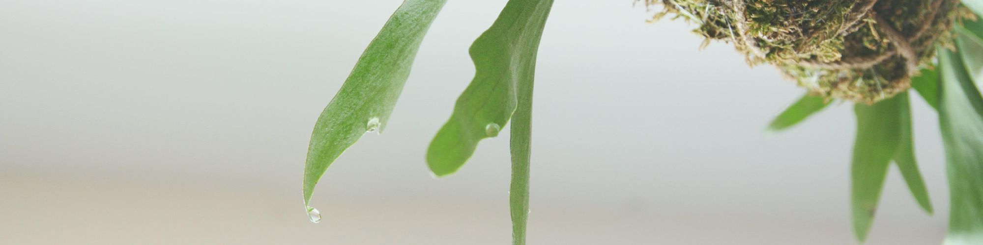 user-banner-image