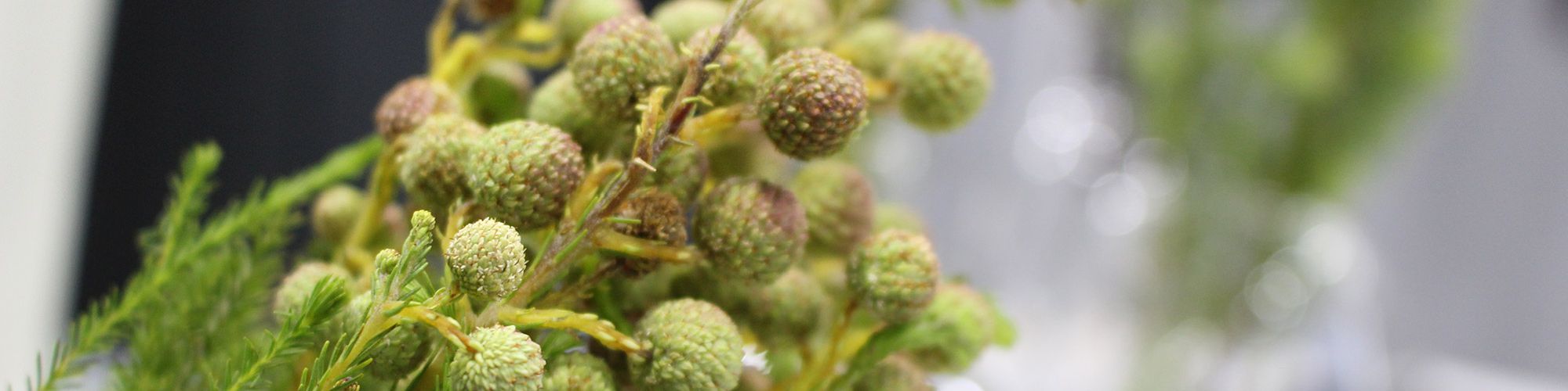 user-banner-image