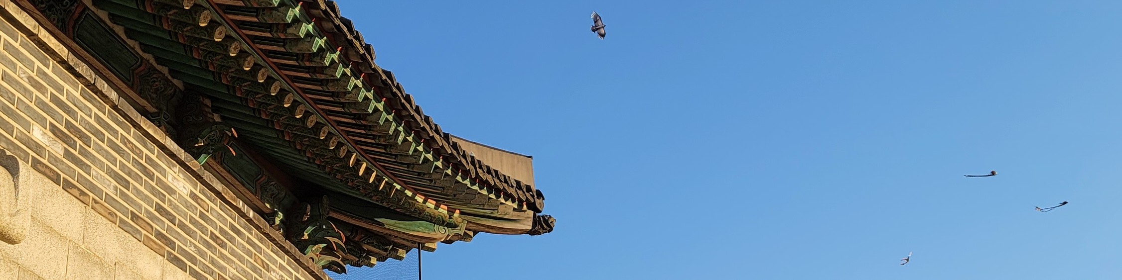 user-banner-image