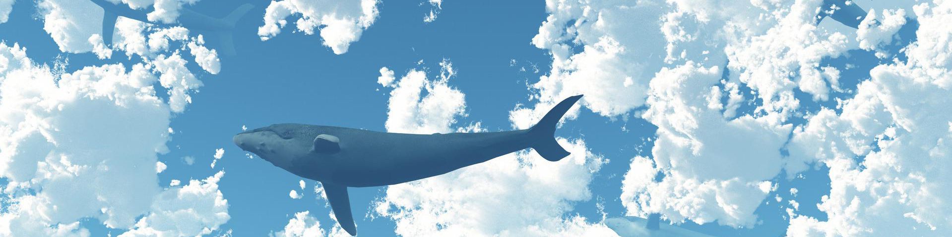user-banner-image