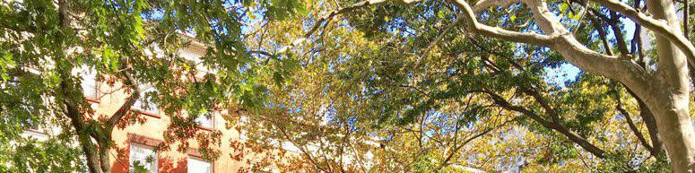 user-banner-image