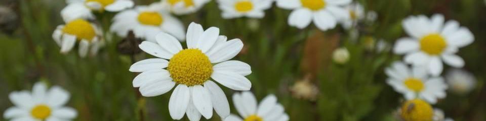 user-banner-image