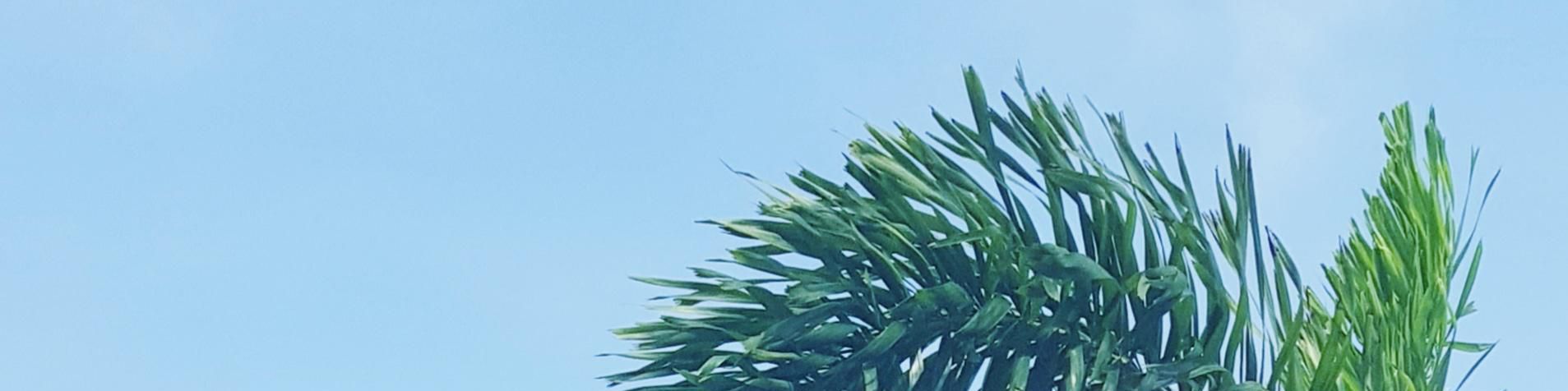 user-banner-image