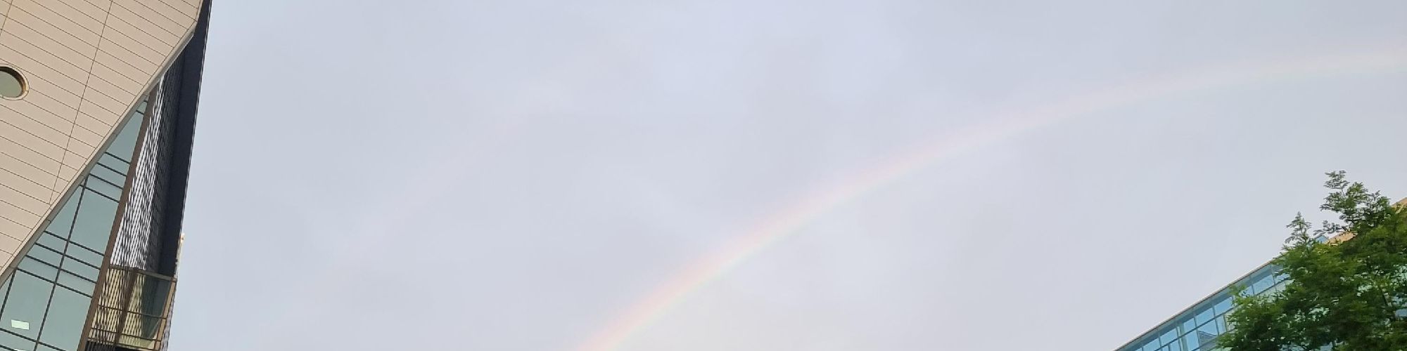 user-banner-image