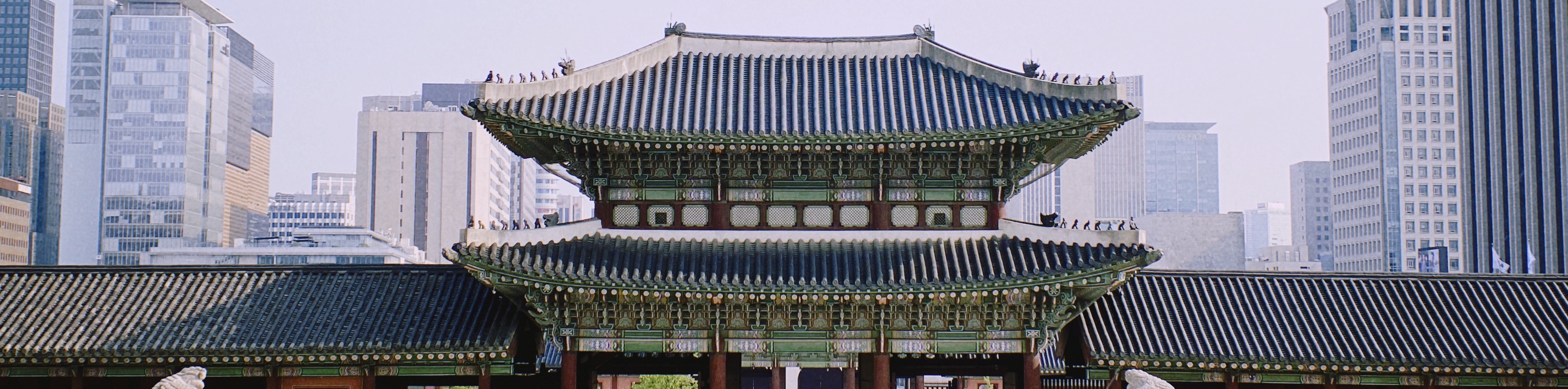 user-banner-image