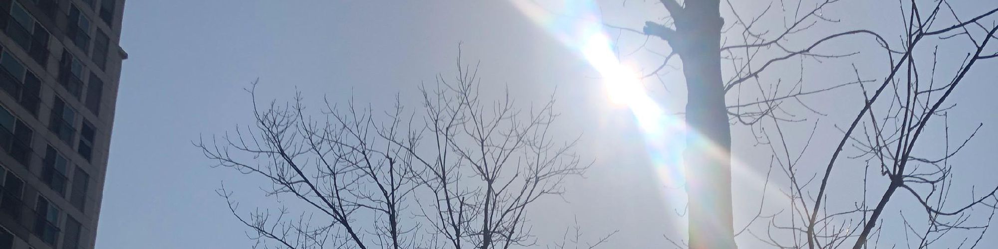 user-banner-image