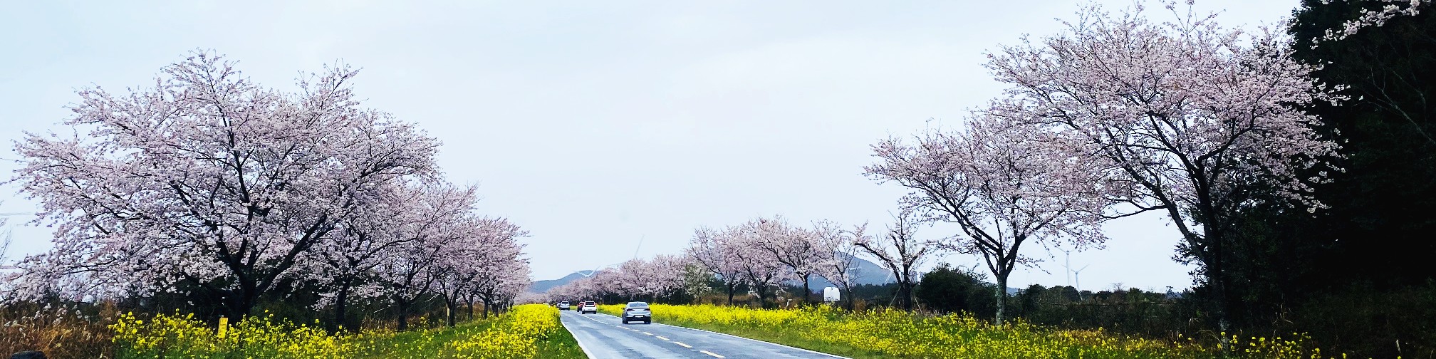 user-banner-image