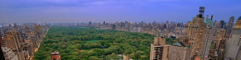 user-banner-image