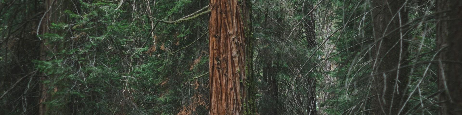 user-banner-image
