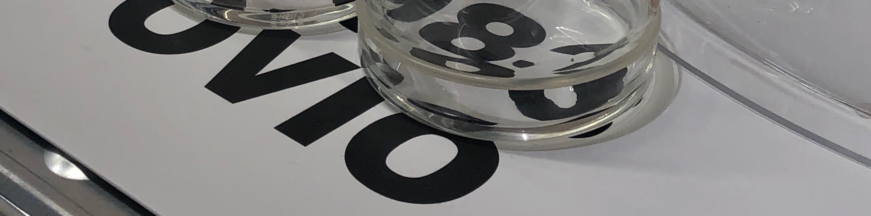 user-banner-image