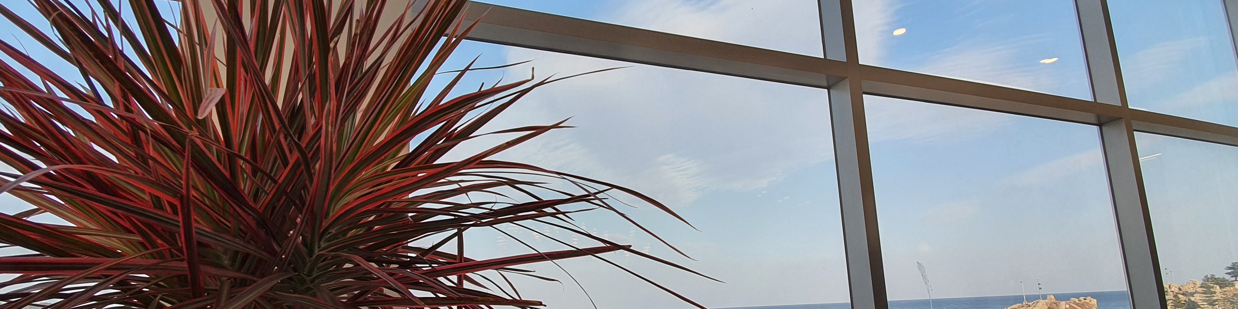 user-banner-image