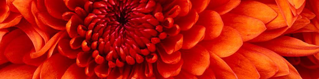 user-banner-image