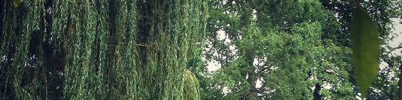 user-banner-image