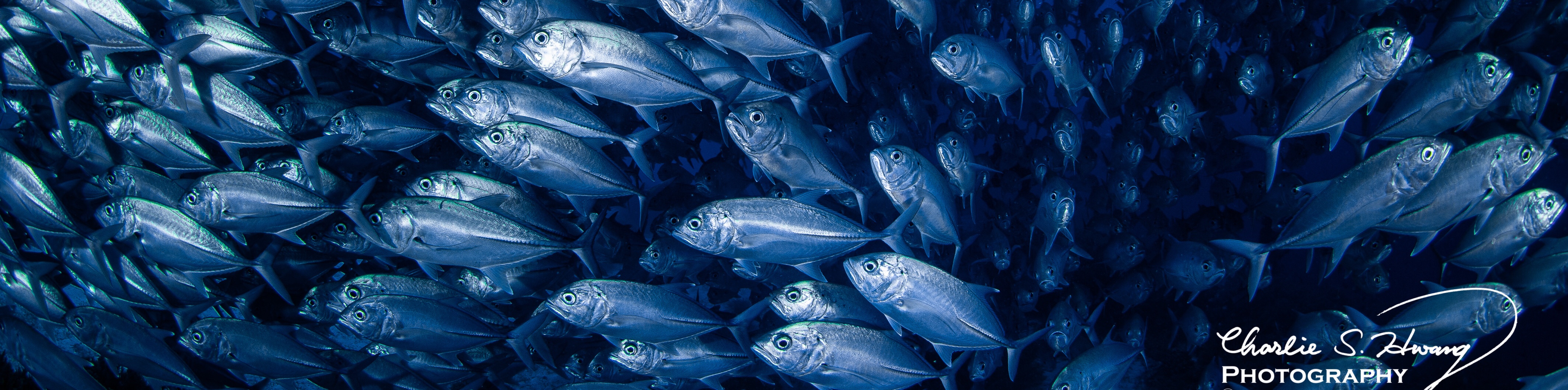user-banner-image