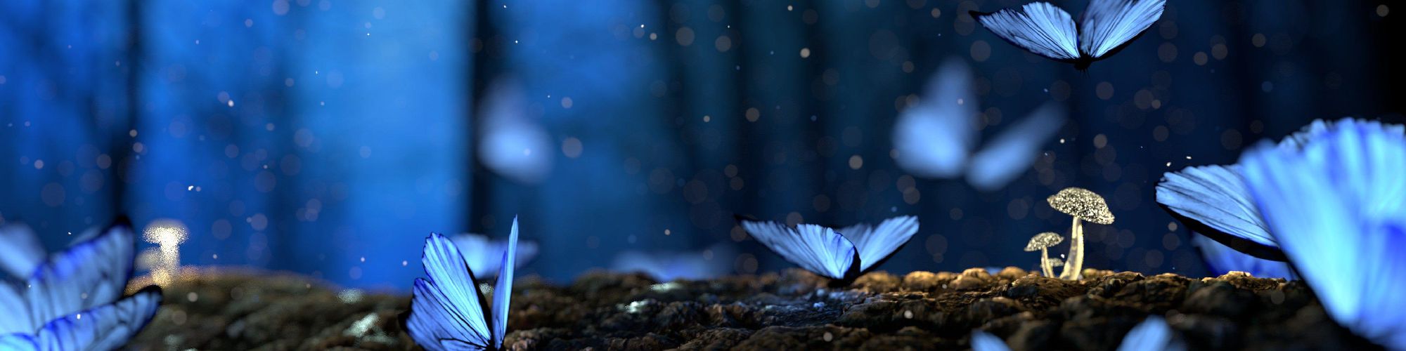 user-banner-image