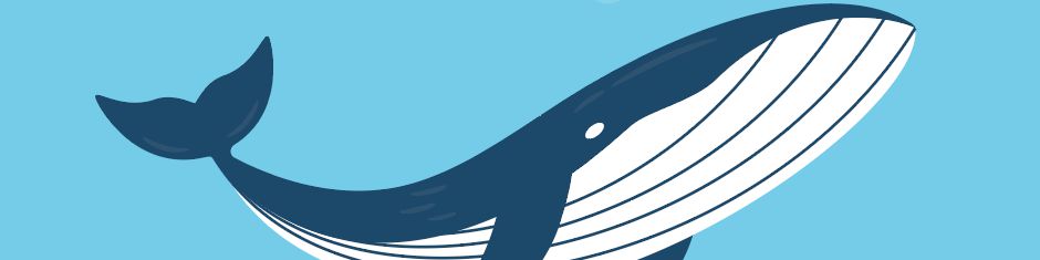 user-banner-image