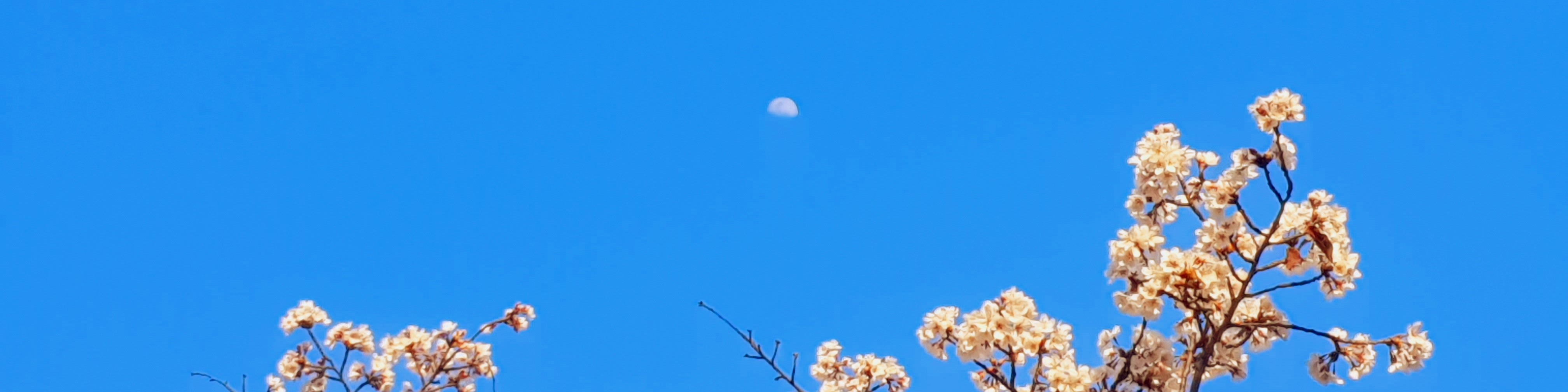 user-banner-image
