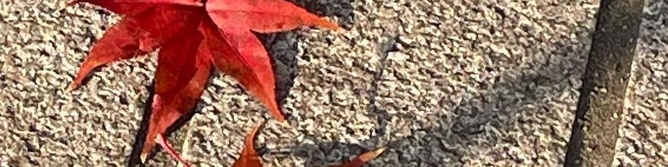 user-banner-image