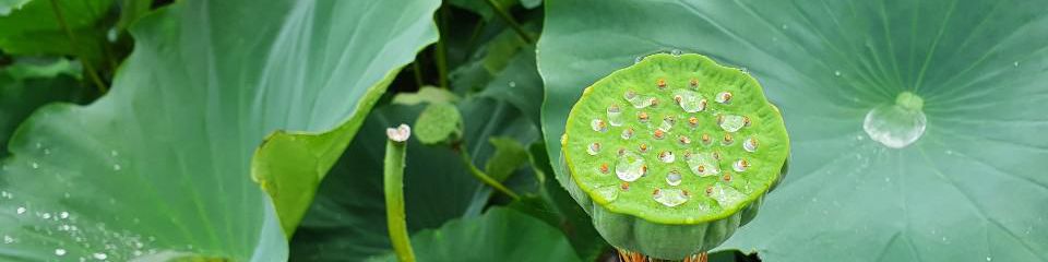user-banner-image
