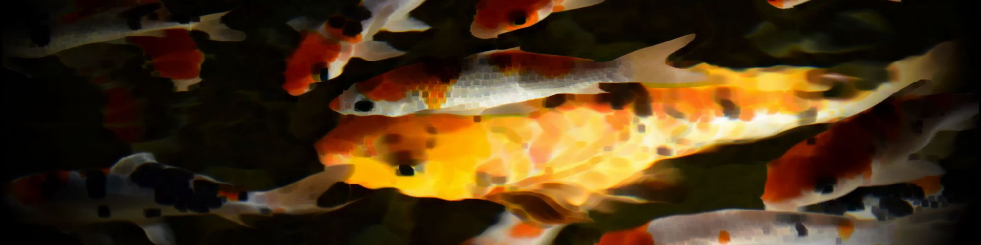 user-banner-image