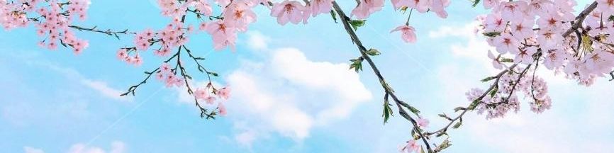 user-banner-image
