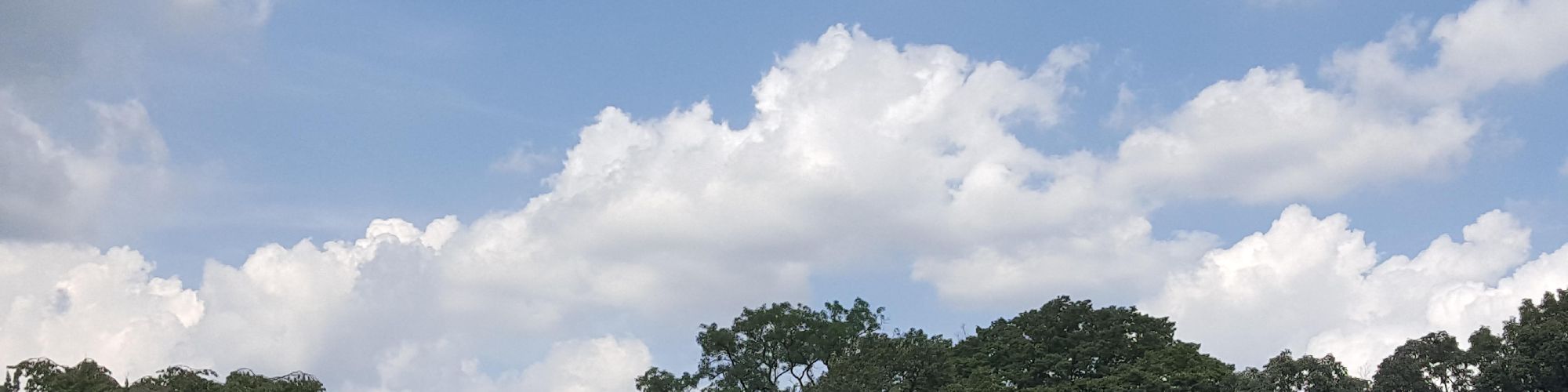user-banner-image